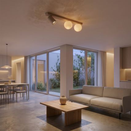 Brilagi - Kohdevalaisin SELE BALL 1xGU10/30W/230V + 2xG9/10W beige