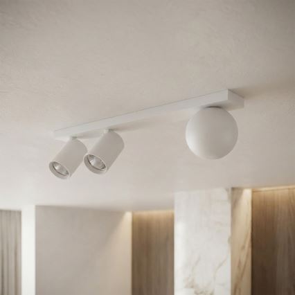 Brilagi - Kohdevalaisin SELE BALL 2xGU10/30W/230V + 1xG9/10W valkoinen