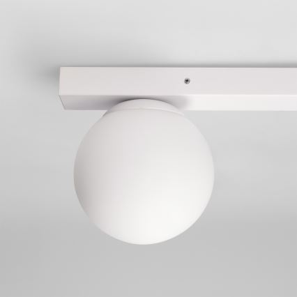 Brilagi - Kohdevalaisin SELE BALL 2xGU10/30W/230V + 1xG9/10W valkoinen