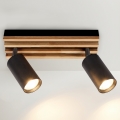 Brilagi - Kohdevalaisin SELE WOOD 2xGU10/30W/230V musta/puu