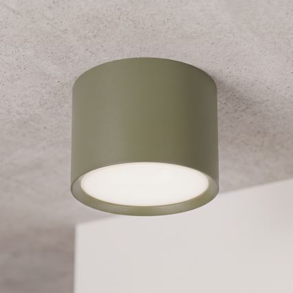BRILAGI - Kohdevalaisin SMOOTH 1xGX53/15W/230V 60x82 mm tummanvihreä