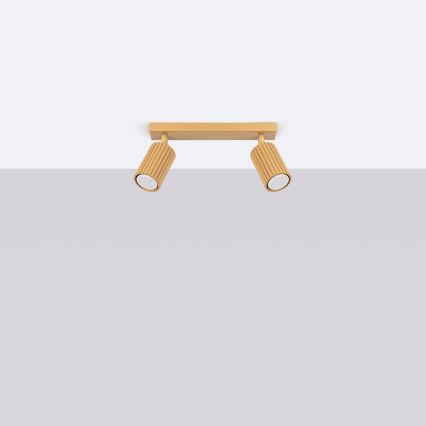 Brilagi - Kohdevalo CRESTO 2xGU10/10W/230V kulta