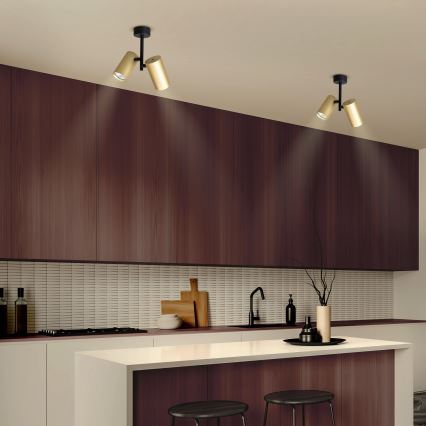 Brilagi - Kohdevalo SELE VERTICAL 2xGU10/30W/230V musta/kulta