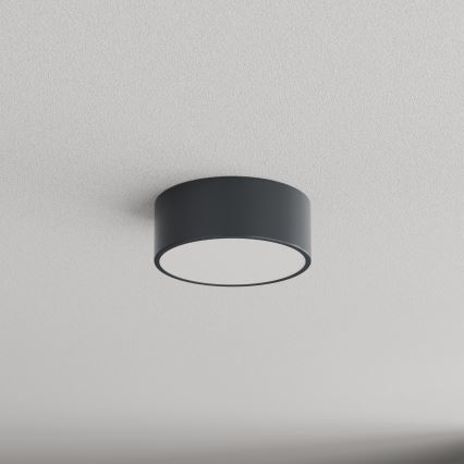 Brilagi - Kylpyhuoneen kattovalaisin CLARE 1xE27/24W/230V halkaisija 20 cm antrasiitti IP54
