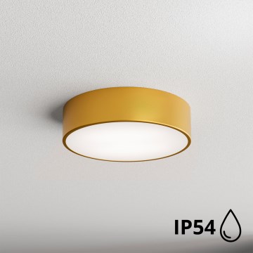 Brilagi - Kylpyhuoneen kattovalaisin CLARE 2xE27/24W/230V halkaisija 30 cm IP54 kulta