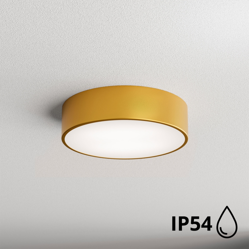 Brilagi - Kylpyhuoneen kattovalaisin CLARE 2xE27/24W/230V halkaisija 30 cm IP54 kulta