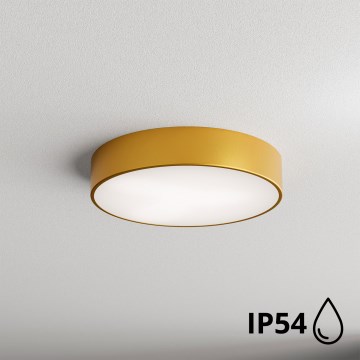 Brilagi - Kylpyhuoneen kattovalaisin CLARE 2xE27/24W/230V halkaisija 40 cm IP54 kulta