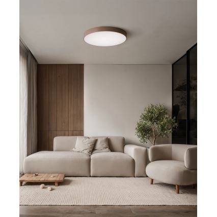 Brilagi - Kylpyhuoneen kattovalaisin CLARE 4xE27/24W/230V, halkaisija 50 cm, IP54, ruskea