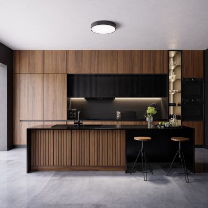 Brilagi - Kylpyhuoneen kattovalaisin CLARE 4xE27/24W/230V Ø 50 cm IP54, musta