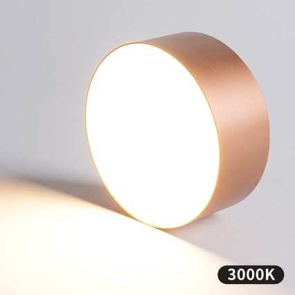 BRILAGI - Kylpyhuoneen kattovalaisin FORIS LED/20W/230V halkaisija 15 cm pronssinvärinen IP44 CRI 90