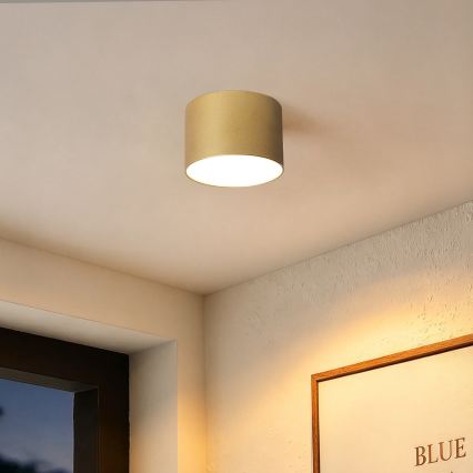 BRILAGI - Kylpyhuoneen kattovalaisin FORIS LED/9W/230V halkaisija 9 cm kultainen IP44 CRI 90