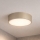 Brilagi - Kylpyhuoneen kattovalaisin POOL 2xE27/15W/230V halkaisija 30 cm IP54 beige
