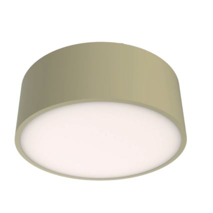 Brilagi - Kylpyhuoneen kattovalaisin POOL 2xE27/15W/230V halkaisija 30 cm IP54 beige
