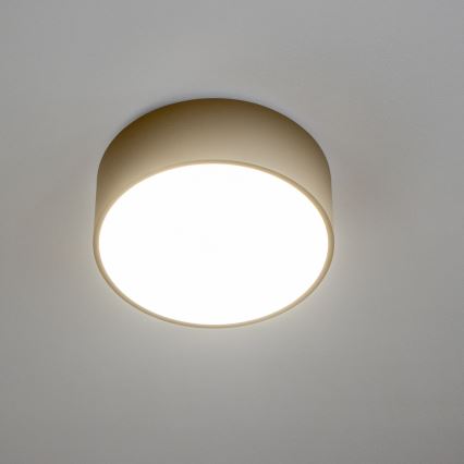 BRILAGI - Kylpyhuoneen kattovalaisin POOL 2xE27/15W/230V halkaisija 30 cm IP54 beige