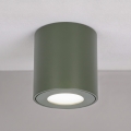 BRILAGI - Kylpyhuoneen kohdevalaisin MIA 1xGU10/30W/230V 60x82 mm 84x80 mm tummanvihreä IP54