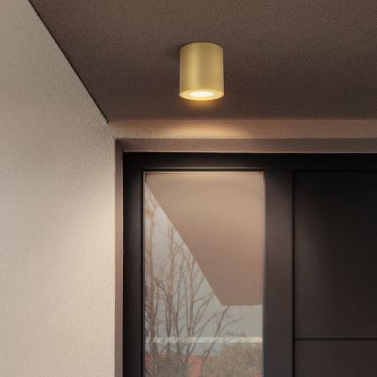 Brilagi - Kylpyhuoneen kohdevalaisin MIA 1xGU10/30W/230V 84x80 mm kultainen IP54