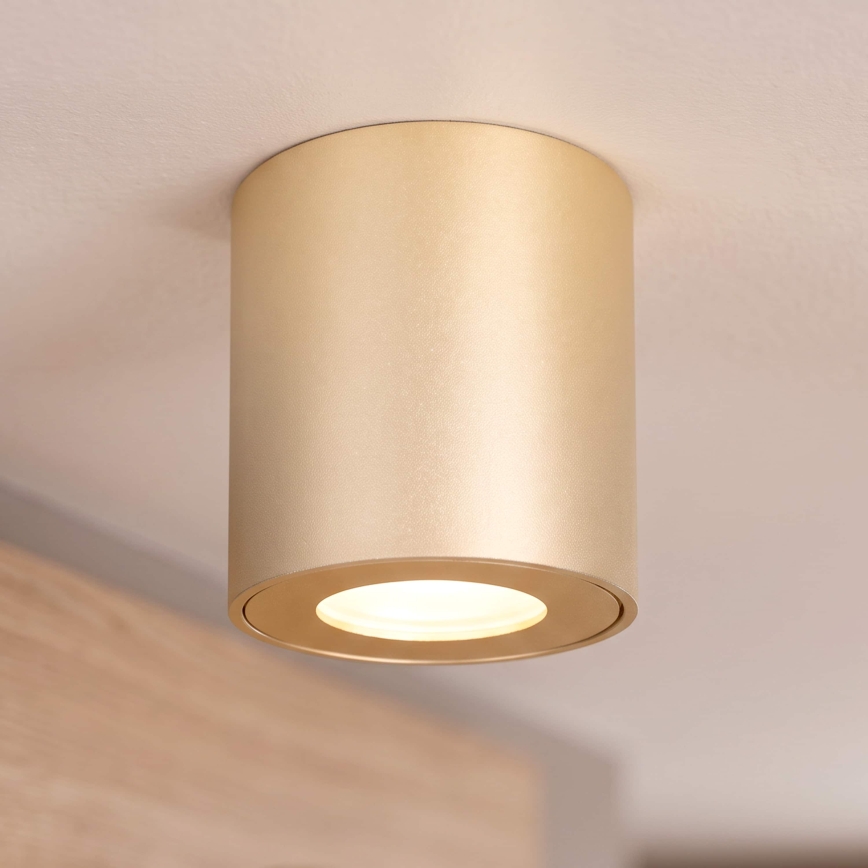 BRILAGI - Kylpyhuoneen kohdevalaisin MIA 1xGU10/30W/230V 84x80 mm kultainen IP54