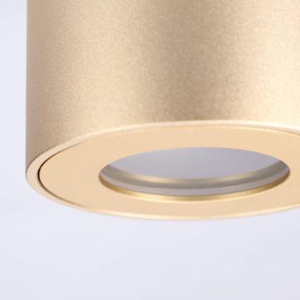 BRILAGI - Kylpyhuoneen kohdevalaisin MIA 1xGU10/30W/230V 84x80 mm kultainen IP54