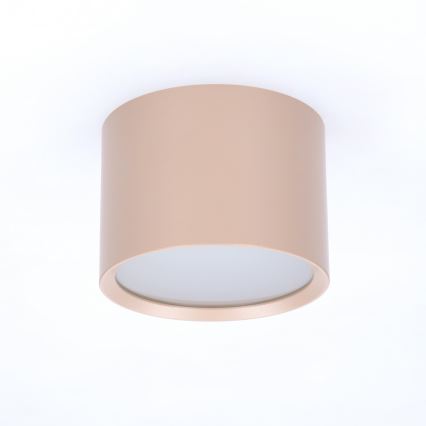 BRILAGI - Kylpyhuoneen kohdevalaisin SMOOTH 1xGX53/15W/230V 60x82 mm beige IP54