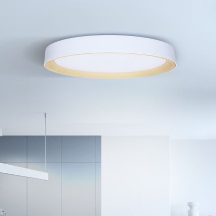 Brilagi - LED-himmennettävä kattovalaisin LARIOS LED/72W/230V 3000-6500K valkoinen halkaisija 59 cm + kaukosäädin