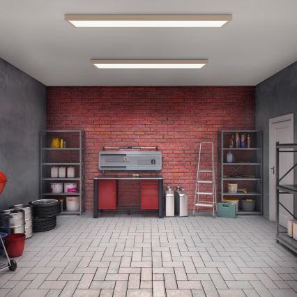 Brilagi - LED Kylpyhuoneen kattovalaisin FRAME LED/50W/230V 120x30 cm IP44 beige