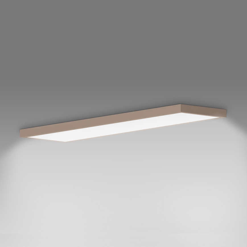 BRILAGI - LED Kylpyhuoneen kattovalaisin FRAME LED/50W/230V 120x30 cm IP44 beige