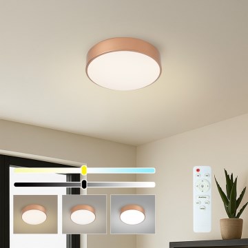 BRILAGI - LED Himennettävä kattovalaisin POOL LED/24W/230V 3000-6000K halkaisija 20 cm kuparinvärinen + kaukosäädin