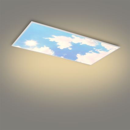Brilagi - LED-himmennettävä kattovalaisin SLIMFRAME SKY LED/80W/230V 120x60 cm 3000-6000K hopea/sininen + kaukosäädin