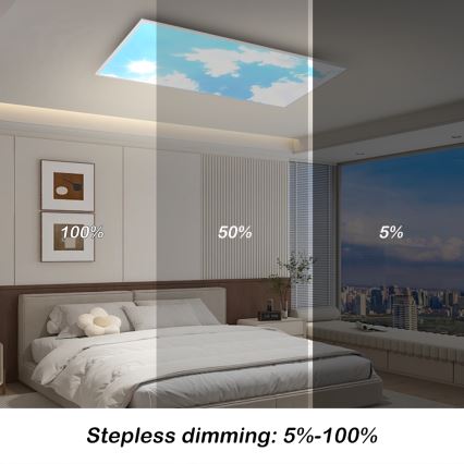 Brilagi - LED-himmennettävä kattovalaisin SLIMFRAME SKY LED/80W/230V 120x60 cm 3000-6000K hopea/sininen + kaukosäädin