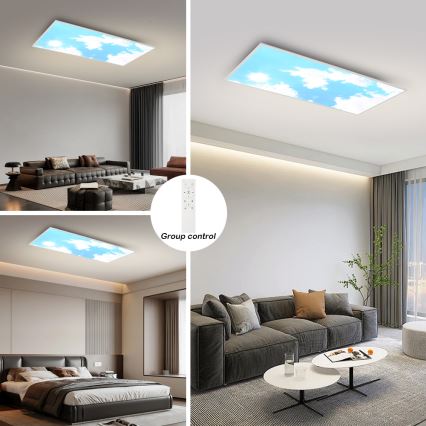 Brilagi - LED-himmennettävä kattovalaisin SLIMFRAME SKY LED/80W/230V 120x60 cm 3000-6000K hopea/sininen + kaukosäädin