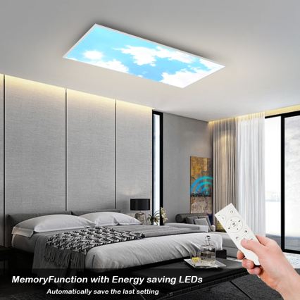 Brilagi - LED-himmennettävä kattovalaisin SLIMFRAME SKY LED/80W/230V 120x60 cm 3000-6000K hopea/sininen + kaukosäädin
