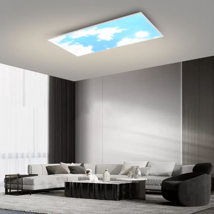 Brilagi - LED-himmennettävä kattovalaisin SLIMFRAME SKY LED/80W/230V 120x60 cm 3000-6000K hopea/sininen + kaukosäädin