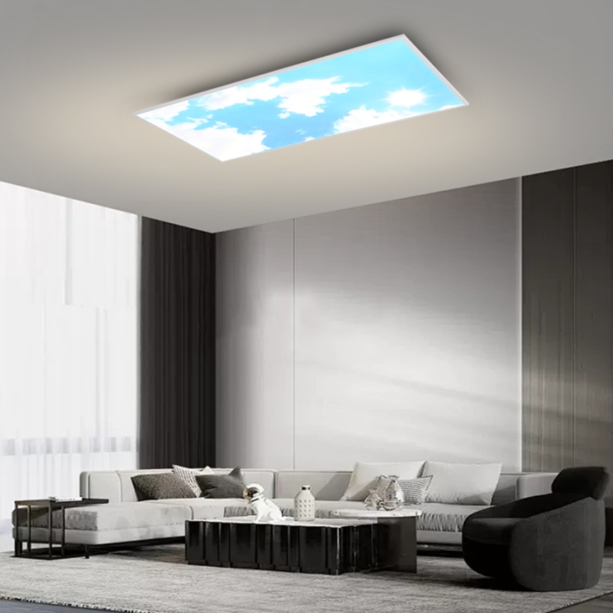 Brilagi - LED-himmennettävä kattovalaisin SLIMFRAME SKY LED/80W/230V 120x60 cm 3000-6000K hopea/sininen + kaukosäädin