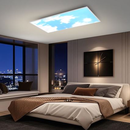 Brilagi - LED-himmennettävä kattovalaisin SLIMFRAME SKY LED/80W/230V 120x60 cm 3000-6000K hopea/sininen + kaukosäädin