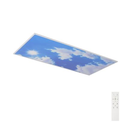 Brilagi - LED-himmennettävä kattovalaisin SLIMFRAME SKY LED/80W/230V 120x60 cm 3000-6000K hopea/sininen + kaukosäädin
