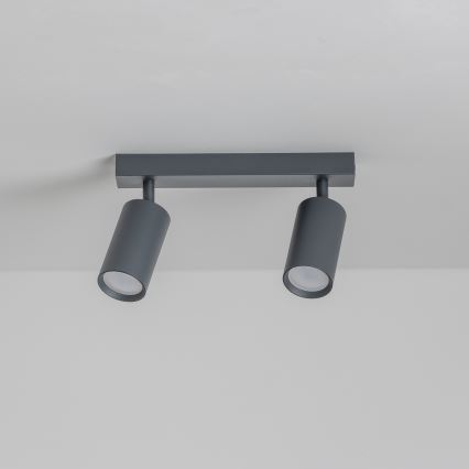 Brilagi - himmennettävä LED-kohdevalaisin SELE 2xGU10/6,5W/230V 2700-6500K antrasiitti