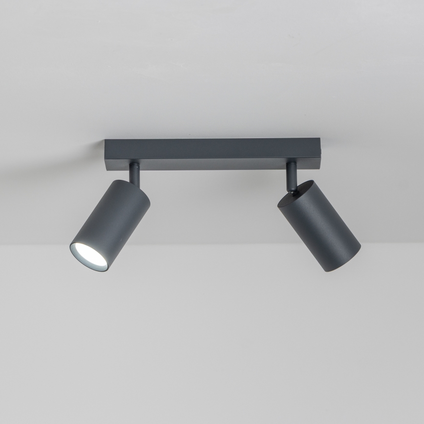 Brilagi - himmennettävä LED-kohdevalaisin SELE 2xGU10/6,5W/230V 2700-6500K antrasiitti