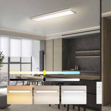 Brilagi - LED-himennettävä kylpyhuoneen kattovalaisin FRAME SMART LED/50W/230V 120x30 cm 3000-6000K IP44 hopea + kauko-ohjain