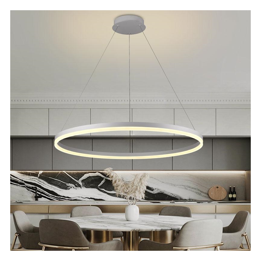 Brilagi - himmennettävä LED-riippuvalaisin vaijerilla CIRCLE LED/55W/230V 3000–6500 K + kaukosäädin