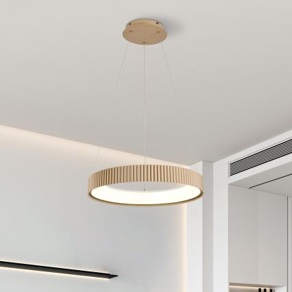 Brilagi - Himennettävä LED-riippuvalaisin vaijerilla FALCON MODERN LED/30W/230V 3000-6500K 40 cm beige + kaukosäädin