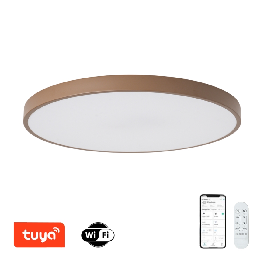Brilagi - himmennettävä LED-valaisin POOL SMART LED/100W/230V Ø 80 cm Wi‑Fi Tuya + kaukosäädin ruskea