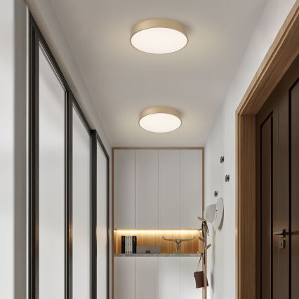 BRILAGI - Himmennettävä LED-kattovalaisin POOL SMART LED/48W/230V 3000-6000K halkaisija 40 cm Wi-Fi Tuya kultainen + kaukosäädin