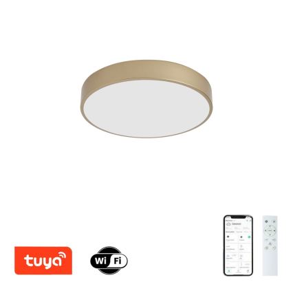 BRILAGI - Himmennettävä LED-kattovalaisin POOL SMART LED/48W/230V 3000-6000K halkaisija 40 cm Wi-Fi Tuya kultainen + kaukosäädin