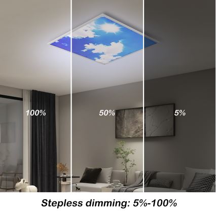 Brilagi - LED himmennettävä kattovalaisin SLIMFRAME LED/58W/230V 60x60 cm 3000-6000K hopea/sininen + kaukosäädin