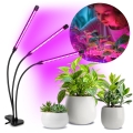 BRILAGI - LED Himmennettävä joustava pöytävalaisin klipsillä kasvien kasvattamiseen VITABLOOM 3xLED/10W/230V musta