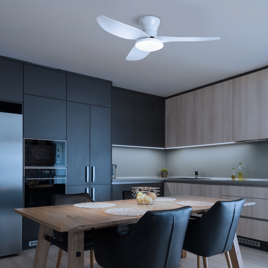 Brilagi - LED himmennettävä kattotuuletin LED/30W/230V 3000-6500K valkoinen + kaukosäädin