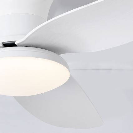 Brilagi - LED himmennettävä kattotuuletin LED/30W/230V 3000-6500K valkoinen + kaukosäädin