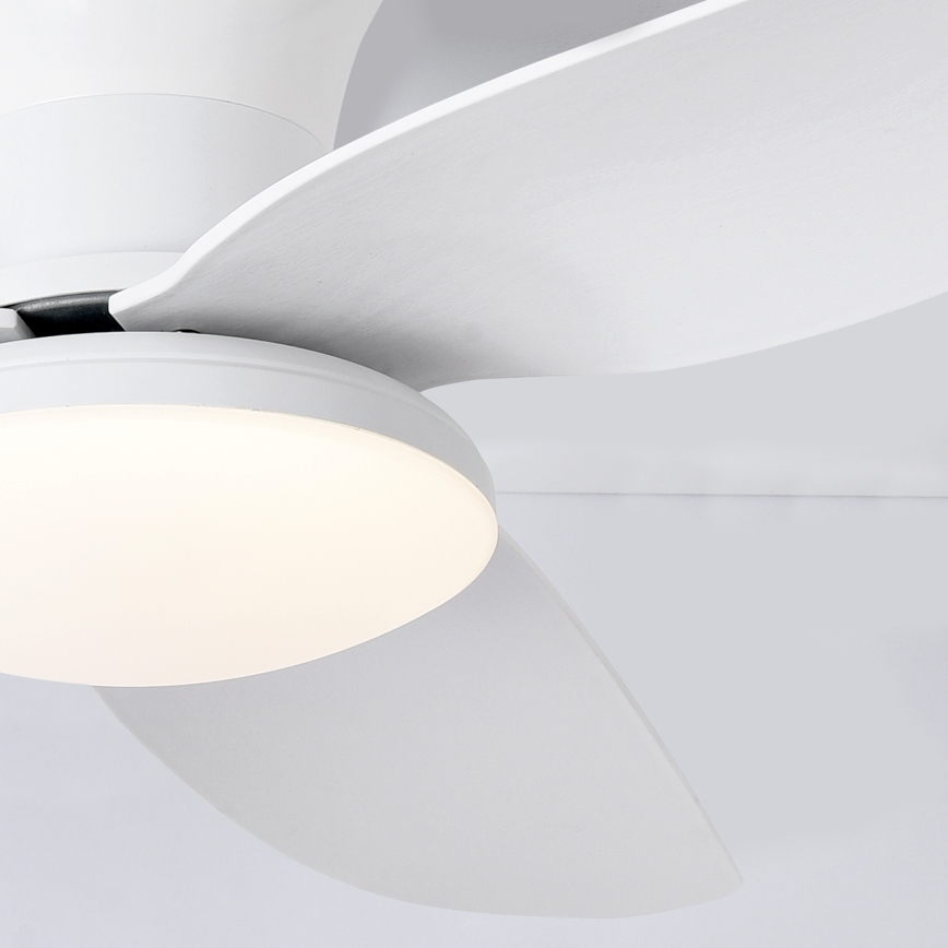 Brilagi - LED himmennettävä kattotuuletin LED/30W/230V 3000-6500K valkoinen + kaukosäädin