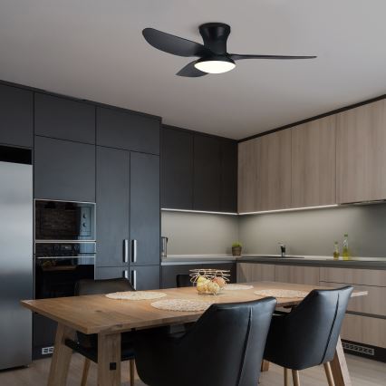 Brilagi - LED himmennettävä kattotuuletin LED/30W/230V 3000-6500K musta + kaukosäädin