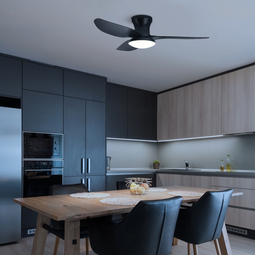 Brilagi - LED himmennettävä kattotuuletin LED/30W/230V 3000-6500K musta + kaukosäädin